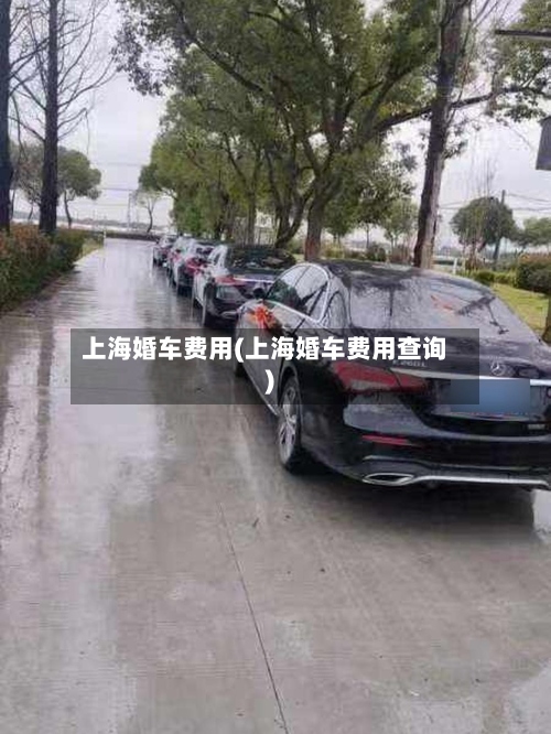 上海婚车费用(上海婚车费用查询)