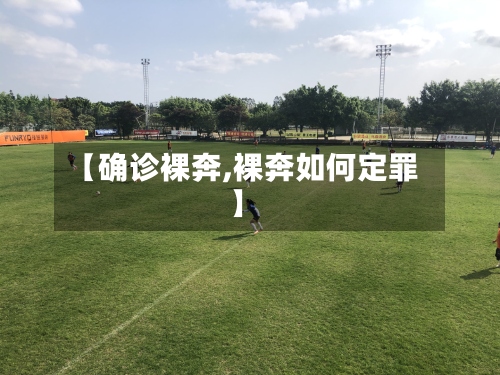 【确诊裸奔,裸奔如何定罪】-第2张图片