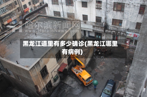 黑龙江道里有多少确诊(黑龙江哪里有病例)-第2张图片