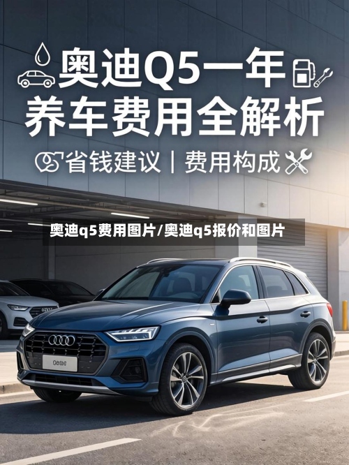 奥迪q5费用图片/奥迪q5报价和图片-第3张图片