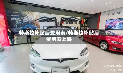 特斯拉补贴后费用表/特斯拉补贴后费用表上海-第3张图片
