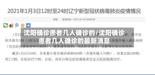 沈阳确诊患者几人确诊的/沈阳确诊患者几人确诊的最新消息-第2张图片