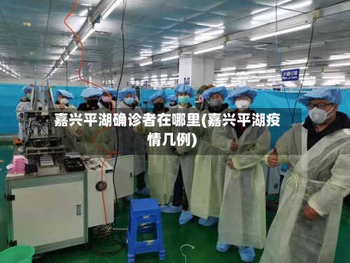 嘉兴平湖确诊者在哪里(嘉兴平湖疫情几例)-第2张图片