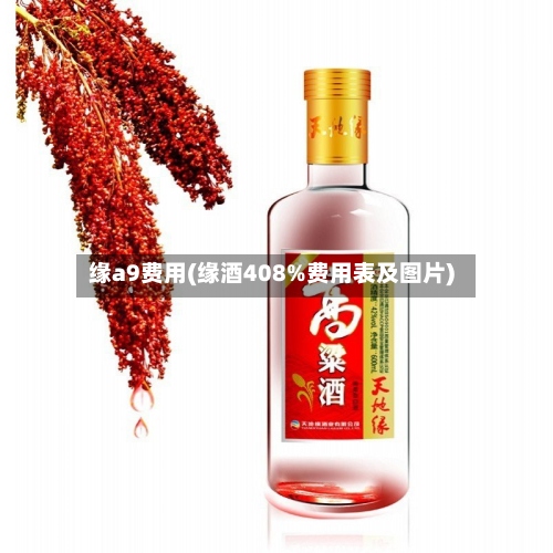 缘a9费用(缘酒408%费用表及图片)