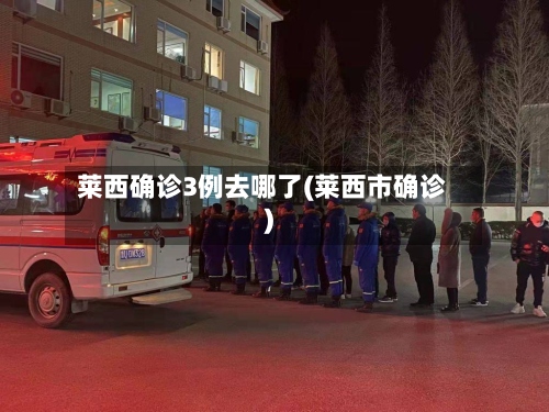 莱西确诊3例去哪了(莱西市确诊)