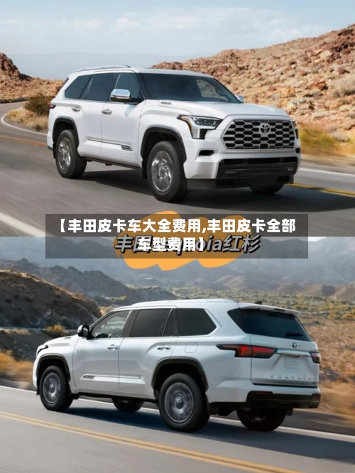 【丰田皮卡车大全费用,丰田皮卡全部车型费用】