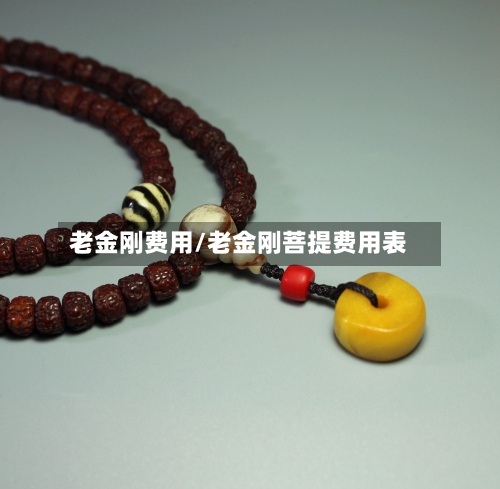 老金刚费用/老金刚菩提费用表-第2张图片