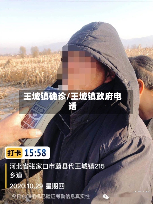 王城镇确诊/王城镇政府电话-第2张图片