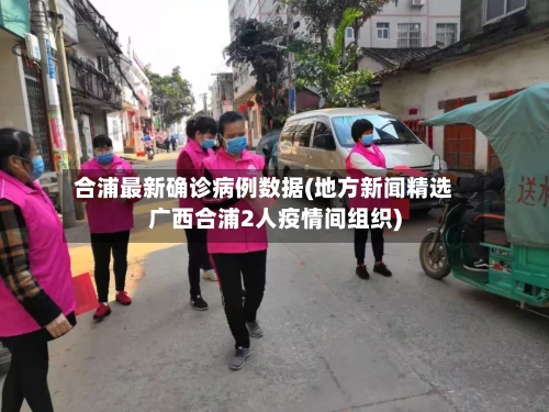 合浦最新确诊病例数据(地方新闻精选  广西合浦2人疫情间组织)-第3张图片
