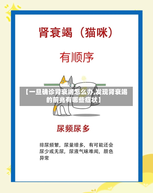 【一旦确诊肾衰竭怎么办,发现肾衰竭的前兆有哪些症状】