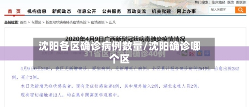 沈阳各区确诊病例数量/沈阳确诊哪个区-第2张图片