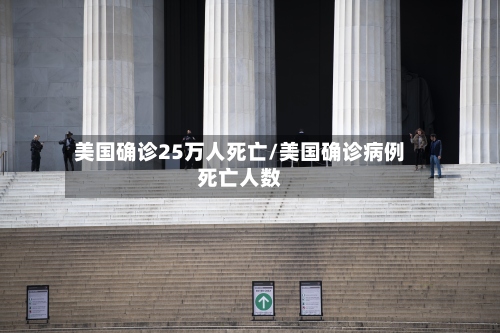 美国确诊25万人死亡/美国确诊病例死亡人数-第2张图片