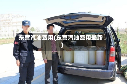 东营汽油费用(东营汽油费用最新)-第2张图片