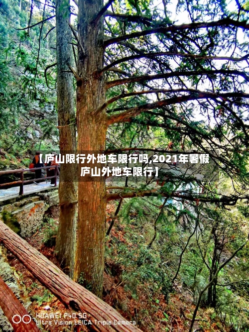 【庐山限行外地车限行吗,2021年暑假庐山外地车限行】-第2张图片