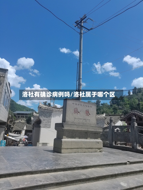洛社有确诊病例吗/洛社属于哪个区-第3张图片