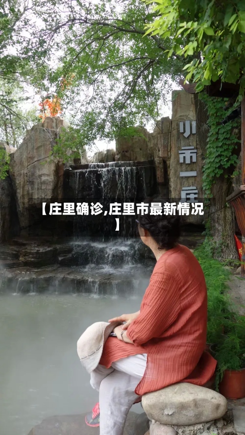 【庄里确诊,庄里市最新情况】