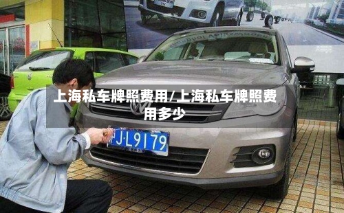 上海私车牌照费用/上海私车牌照费用多少