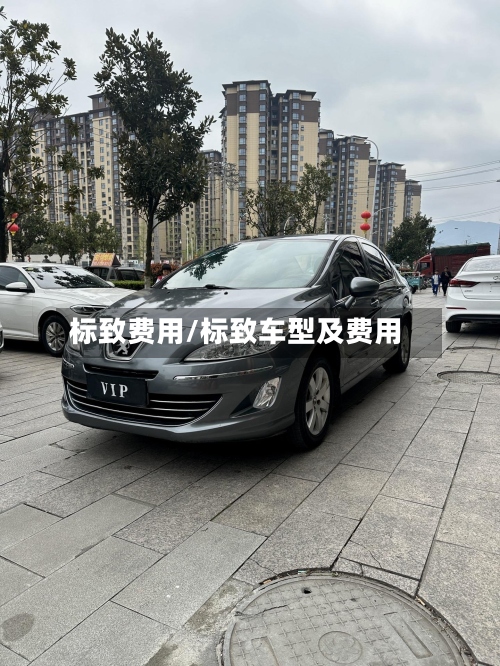 标致费用/标致车型及费用-第2张图片