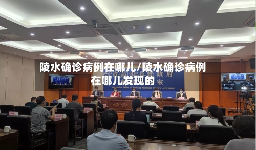 陵水确诊病例在哪儿/陵水确诊病例在哪儿发现的-第3张图片