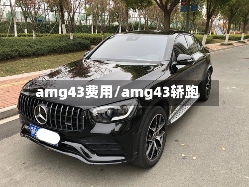 amg43费用/amg43轿跑
