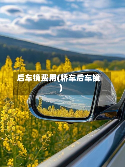 后车镜费用(轿车后车镜)
