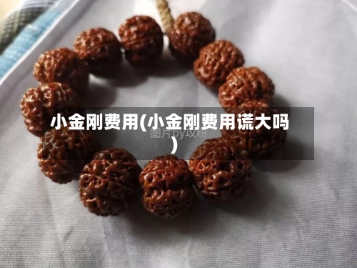小金刚费用(小金刚费用谎大吗)