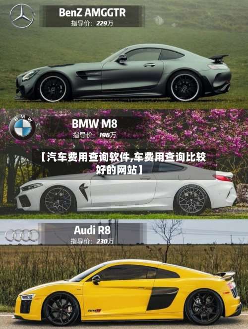 【汽车费用查询软件,车费用查询比较好的网站】-第3张图片