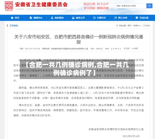 【合肥一共几例确诊病例,合肥一共几例确诊病例了】-第2张图片