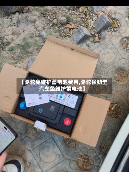 【骆驼免维护蓄电池费用,骆驼强劲型汽车免维护蓄电池】