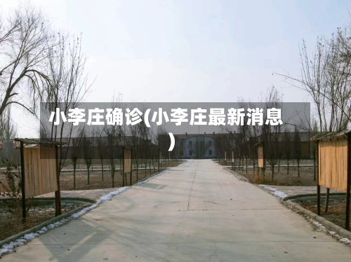 小李庄确诊(小李庄最新消息)