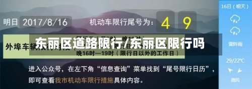 东丽区道路限行/东丽区限行吗-第3张图片
