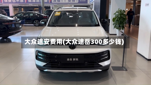 大众途安费用(大众途岳300多少钱)-第2张图片