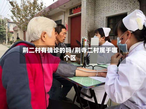 荆二村有确诊的吗/荆寺二村属于哪个区-第2张图片