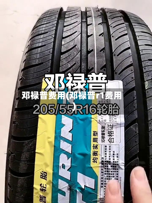 邓禄普费用(邓禄普r1费用)