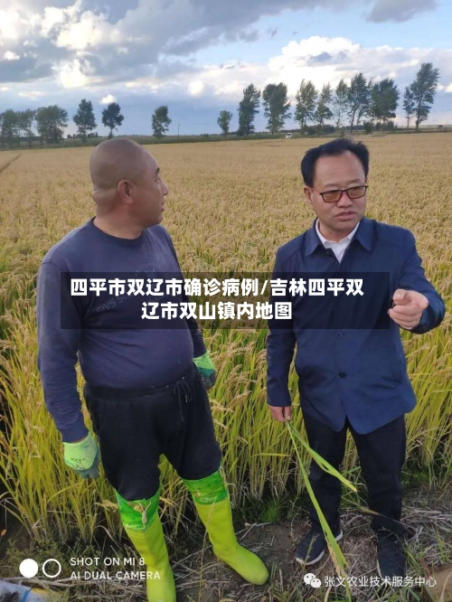 四平市双辽市确诊病例/吉林四平双辽市双山镇内地图-第3张图片