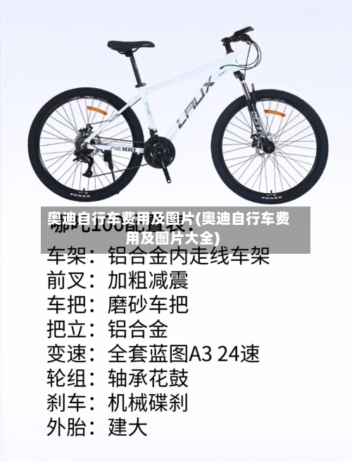 奥迪自行车费用及图片(奥迪自行车费用及图片大全)