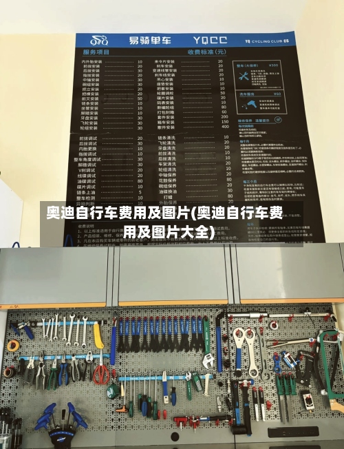奥迪自行车费用及图片(奥迪自行车费用及图片大全)-第2张图片