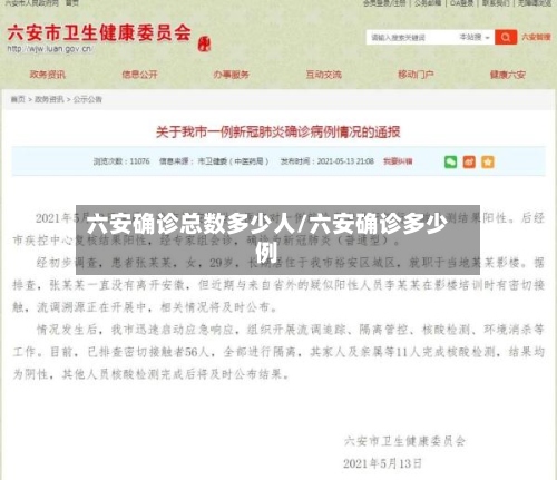 六安确诊总数多少人/六安确诊多少例-第2张图片