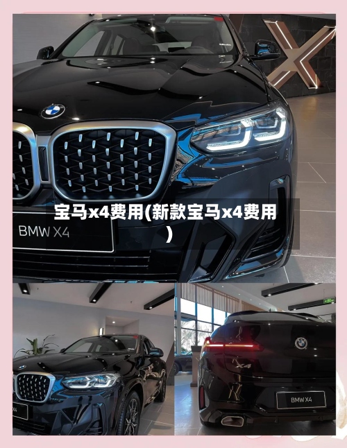 宝马x4费用(新款宝马x4费用)-第2张图片