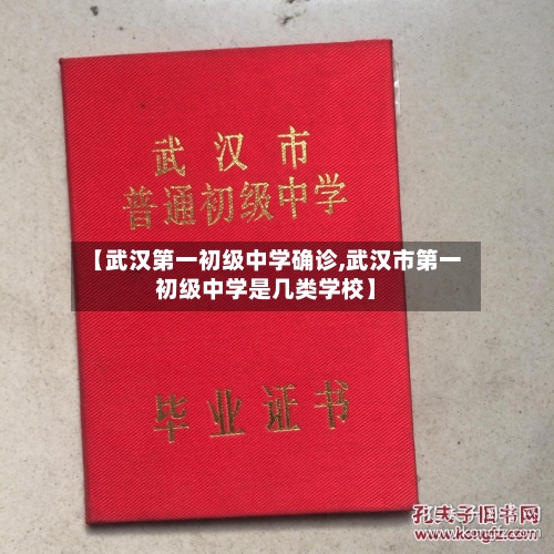 【武汉第一初级中学确诊,武汉市第一初级中学是几类学校】-第2张图片
