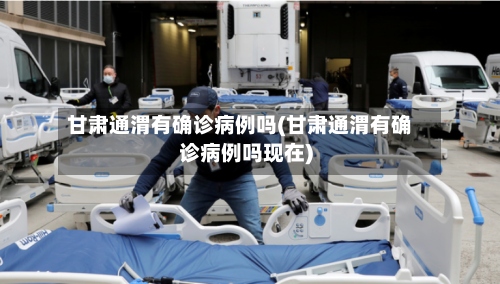 甘肃通渭有确诊病例吗(甘肃通渭有确诊病例吗现在)-第2张图片