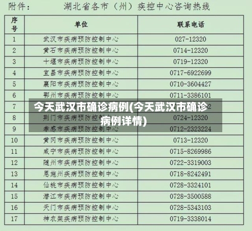 今天武汉市确诊病例(今天武汉市确诊病例详情)-第2张图片