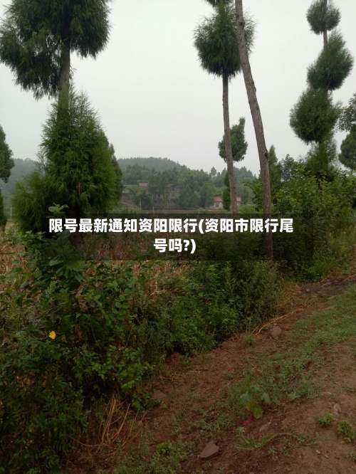 限号最新通知资阳限行(资阳市限行尾号吗?)