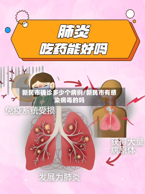 新民市确诊多少个病例/新民市有感染病毒的吗