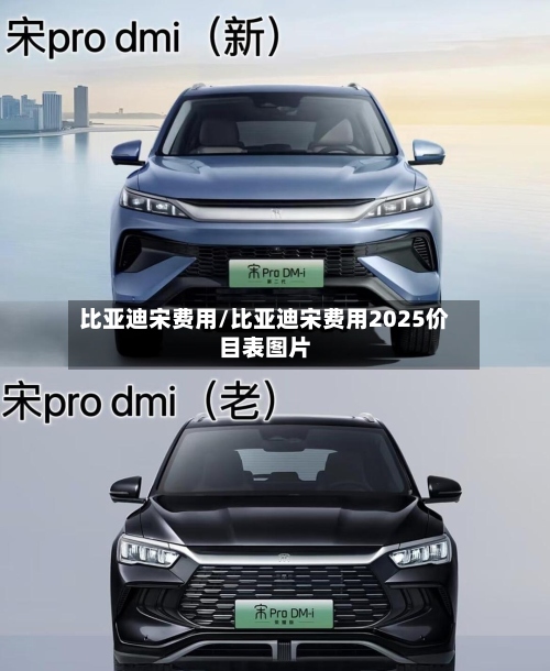 比亚迪宋费用/比亚迪宋费用2025价目表图片