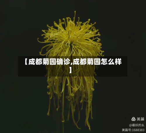 【成都菊园确诊,成都菊园怎么样】-第2张图片