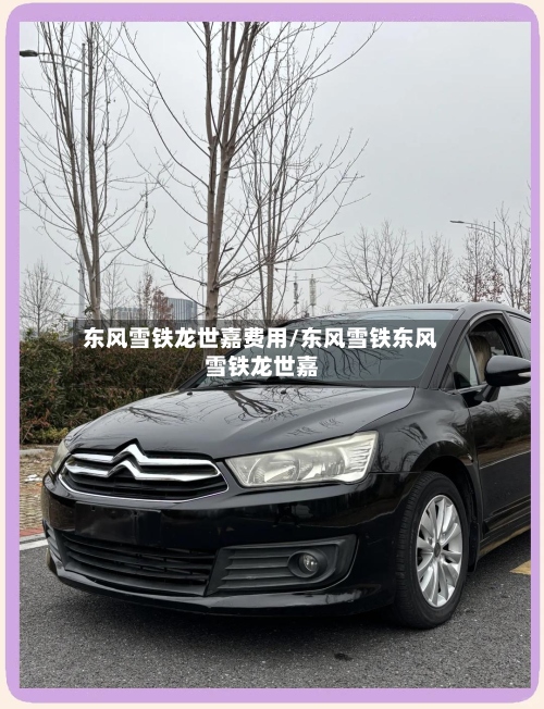 东风雪铁龙世嘉费用/东风雪铁东风雪铁龙世嘉-第3张图片