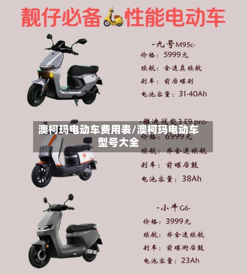 澳柯玛电动车费用表/澳柯玛电动车型号大全