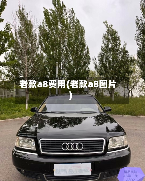 老款a8费用(老款a8图片)