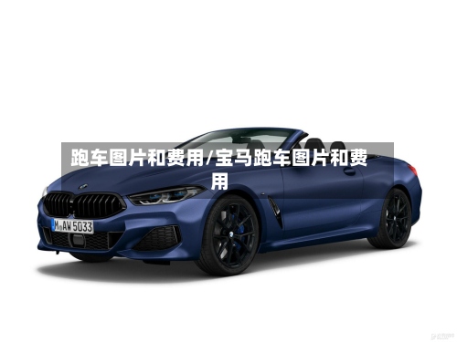 跑车图片和费用/宝马跑车图片和费用